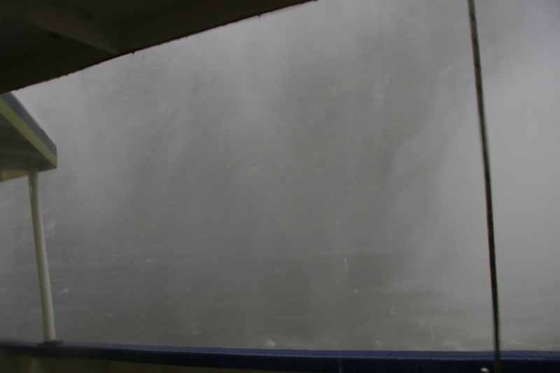 Nieuw-Zeeland 2011 - 1706